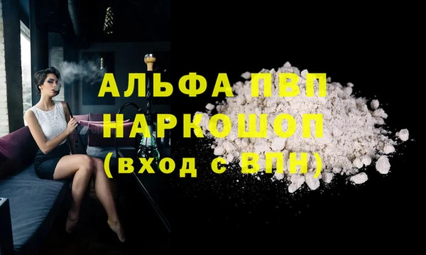хмурый Пересвет