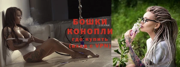 хмурый Пересвет