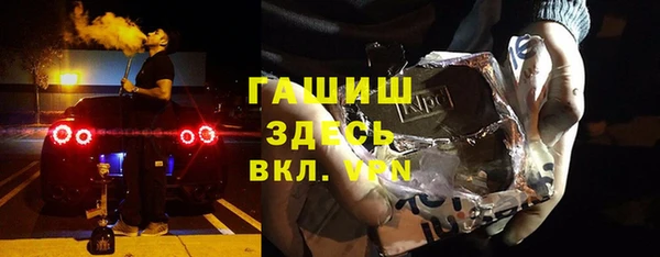 хмурый Пересвет