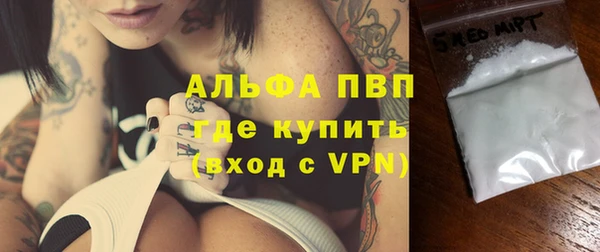 хмурый Пересвет