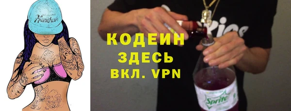 хмурый Пересвет