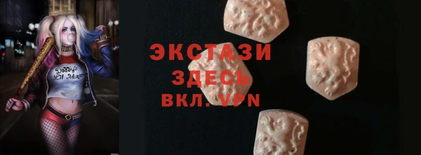 хмурый Пересвет