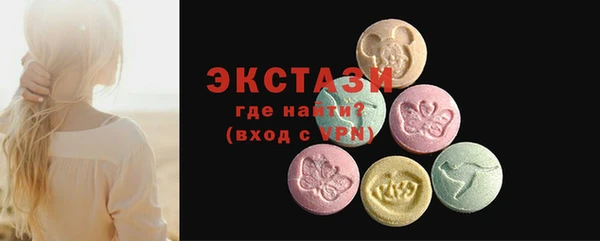 хмурый Пересвет