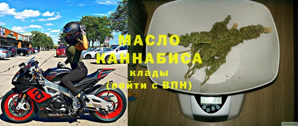 хмурый Пересвет