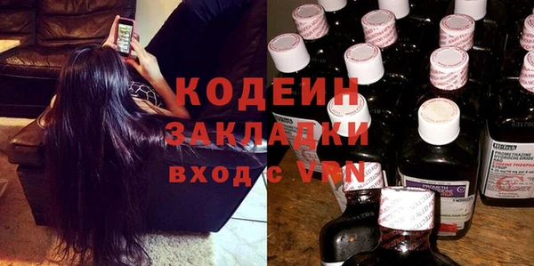 хмурый Пересвет