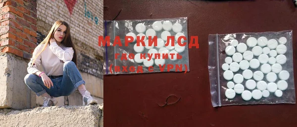 хмурый Пересвет