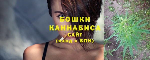 хмурый Пересвет