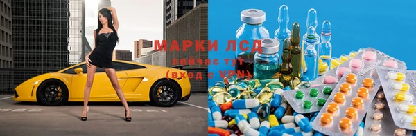 хмурый Пересвет