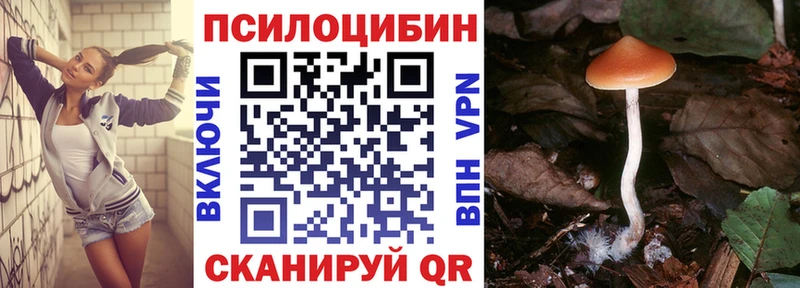 где найти наркотики  Петухово  Псилоцибиновые грибы Cubensis 